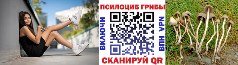 Псилоцибиновые грибы Cubensis  Ковылкино 
